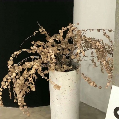 Furry原创作品欣赏FurryQQ群